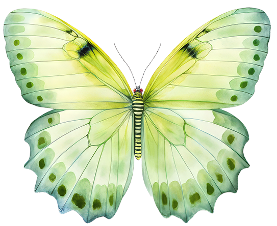 Schmetterling